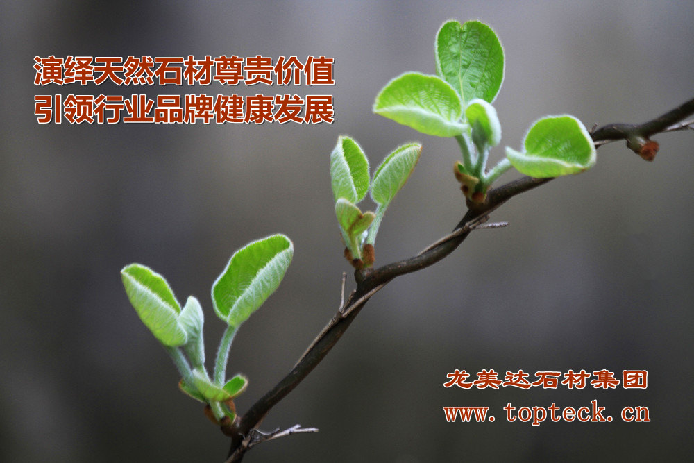 綠色石材,綠色大理石,大理石有沒(méi)有輻射,龍美達(dá),環(huán)保石材
