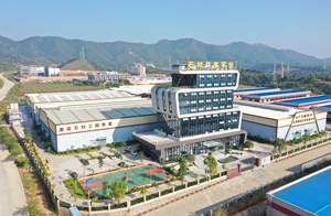 龍美達云浮工廠全景