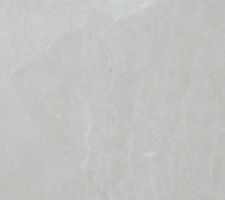 白玉蘭White Magnolia