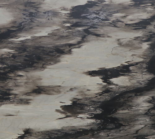 思科印象Sequoia Impression